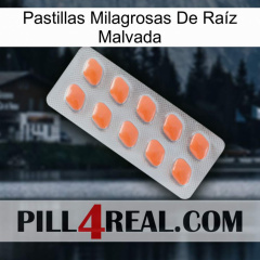 Pastillas Milagrosas De Raíz Malvada 26